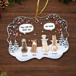 Custom Acrylic Ornament - Personalized Pet Christmas Memorial Sympathy Gifts For Dogs - Companion Friend Family Forever