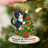 Custom Photo Acrylic Ornament - Personalized  Christmas Birthday Gifts For Dog Cat Lovers, Dog Dad And Mom, Cat Owners - Cat Steals The Show