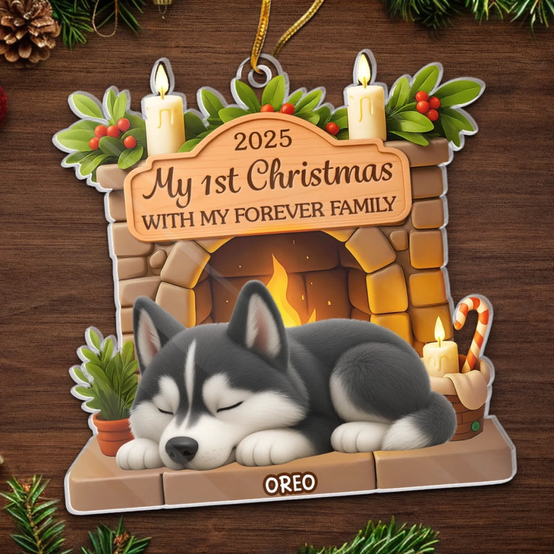 Custom First Christmas Acrylic Ornament - Personalized Christmas Birthday Gifts For Dog Lovers, Dog Dad And Mom - Pawsitively Loved This Christmas
