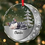 Custom Circle Glass Ornament - Personalized Pet Christmas Memorial Sympathy For Cats - Magic Lives In Purrs