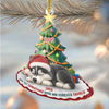 Custom First Christmas Acrylic Ornament - Personalized Christmas Birthday Gifts For Dog Cat Lovers, Dog Dad And Mom, Cat Owners - Purrfectly Festive