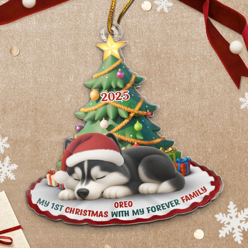 Custom First Christmas Acrylic Ornament - Personalized Christmas Birthday Gifts For Dog Cat Lovers, Dog Dad And Mom, Cat Owners - Purrfectly Festive