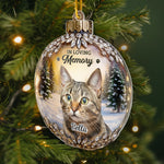 Custom Photo Acrylic Ornament - Personalized Pet Christmas Memorial Sympathy Gifts For Dog Lovers, Cat Lovers - Every Star Carries Your Light