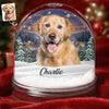 Custom Photo Acrylic Snow Globe - Personalized Pet Christmas Memorial Sympathy Gifts For Dogs, Cats - Miss You In Every Gentle Breeze