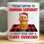 Custom Funny Cat Christmas Gifts for Cat Lovers - Personalized Mugs
