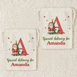 Custom Name Santa Christmas Gifts - Personalized Christmas Favor Bag