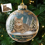 Custom Photo Acrylic Ornament - Personalized  Christmas Birthday Gifts For Dog Cat Lovers, Dog Dad And Mom, Cat Owners - Meowy Christmas, Hooman