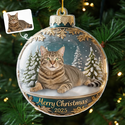Custom Photo Acrylic Ornament - Personalized  Christmas Birthday Gifts For Dog Cat Lovers, Dog Dad And Mom, Cat Owners - Meowy Christmas, Hooman