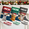 Custom Christmas Stocking - Personalized Christmas Birthday Gifts For Dog Cat Lovers, Dog Dad And Mom, Cat Owners - Frosty Fur Baby