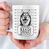 Custom Photo Mug - Personalized Birthday Gifts For Dog Cat Lovers, Dog Dad And Mom, Cat Owners - Serial Treat Killer