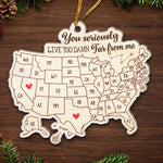Custom Long Distance Acrylic Ornament - Personalized Best Friend Christmas Birthday Gifts For Women, Besties, Sisters, BFF - Bestie Love Knows No Distance