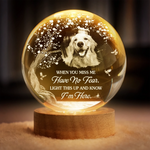 Custom Photo Crystal Globe Lamp - Personalized Pet Memorial Sympathy Gifts For Dogs, Cats - Gone Yet Always Near