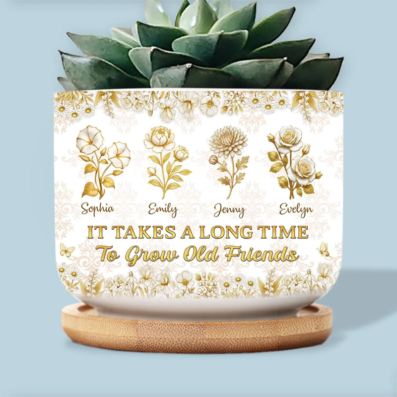 Custom Home Decor Ceramic Plant Pot - Personalized Best Friend Birthday Gifts For Women, Besties, Sisters, BFF - Grow An Old Friend