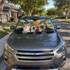 Custom Auto Windshield Sunshade, Car Window Protector - Personalized Birthday Gifts For Dog Cat Lovers, Dog Dad And Mom, Cat Owners - Where Paws Go, Joy Follows