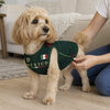 Custom Mexico World Football Pet Jersey - Personalized Birthday Gifts For Football Dog Cat Lovers, Dog Dad And Mom, Cat Owners - Furry Champion