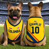 Custom Colombia World Football Pet Jersey - Personalized Birthday Gifts For Football Dog Cat Lovers, Dog Dad And Mom, Cat Owners - Viva Colombia, Furry Edition