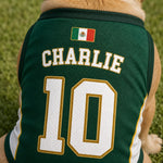 Custom Mexico World Football Pet Jersey - Personalized Birthday Gifts For Football Dog Cat Lovers, Dog Dad And Mom, Cat Owners - Mexico’s Number One Furry Fan