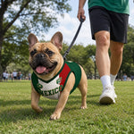 Custom Mexico World Football Pet Jersey - Personalized Birthday Gifts For Football Dog Cat Lovers, Dog Dad And Mom, Cat Owners - Mexico’s Number One Furry Fan