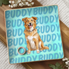 Custom Photo Full-Print Jewelry Dish - Personalized  Birthday Gifts For Dog Cat Lovers, Dog Dad And Mom, Cat Owners - Paws Make Life Better