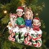 Custom Acrylic Ornament - Personalized Christmas Birthday Gifts For Family, Dog Cat Lovers - Our Little World
