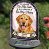Custom Photo Garden Solar Light - Personalized Pet Memorial Sympathy Gifts For Dogs, Cats - Rest Among The Stars