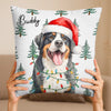 Custom Photo Pillow - Personalized Christmas Birthday Gifts For Dog Cat Lovers, Dog Dad And Mom, Cat Owners - Santa’s Favorite Furry Friend