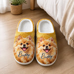 Custom Photo Name Pet Gifts For Dog And Cat Lovers - Personalized Fluffy Slippers