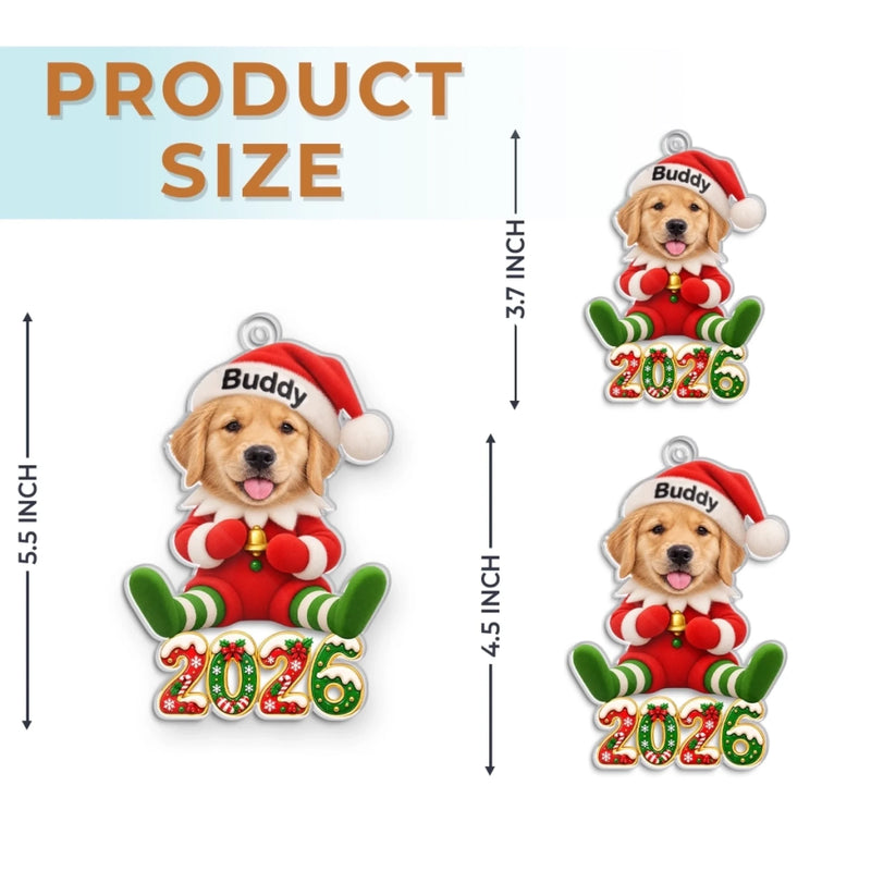 Custom Pet Photo Santa Character Christmas Decor Gifts For Dog Lovers, Cat Lovers - Personalized Acrylic Ornament
