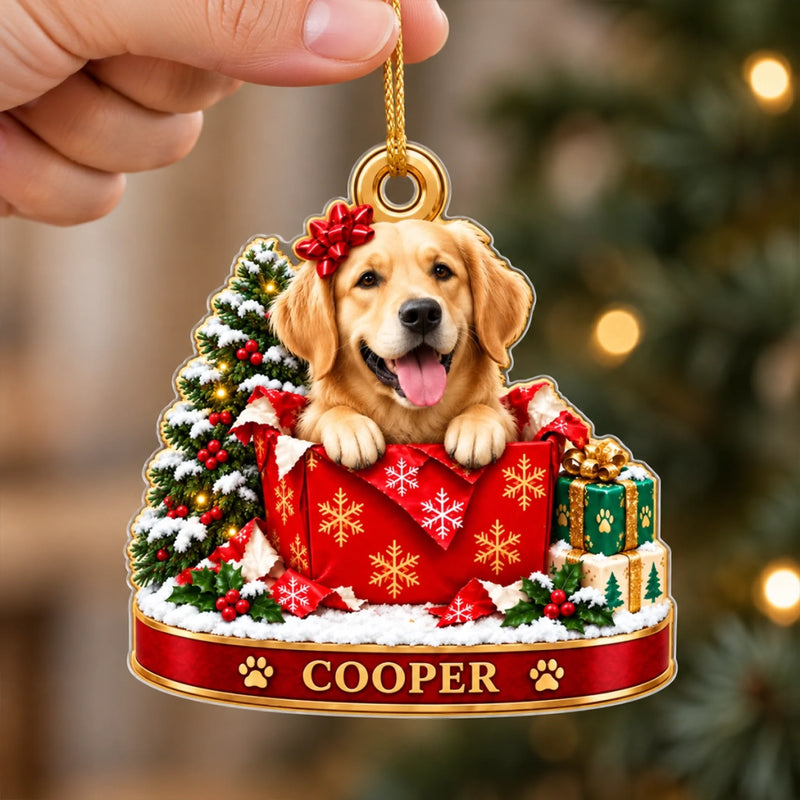 Custom Pet Portrait Christmas Keepsake Gifts - Personalized Acrylic Ornament
