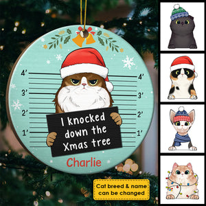 I Knocked Down The Xmas Tree - Personalized Round Ornament.