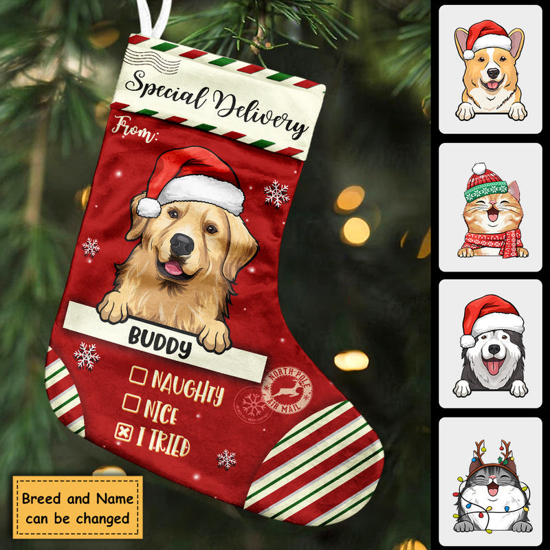 Special Delivery To Santa - Christmas Dogs & Cats - Personalized Christmas Stocking