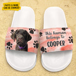 This Human Belongs To - Personalized Slide Sandals, Slippers - Upload Image, Gift For Pet Lovers