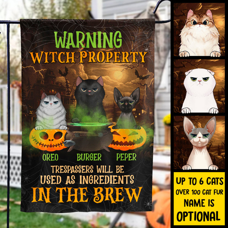 Warning Witch Property - Personalized Funny Cat Flag