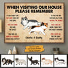 When Visiting My House Cat Walking - Personalized Horizontal Poster