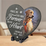 Custom Photo You Would Have Lived Forever - Memorial Personalized Custom Memorial Stone - Sympathy Gift, Gift For Dog Lovers