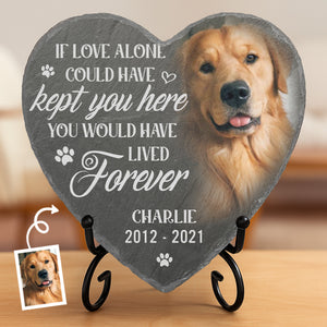 Custom Photo Heart Shaped Memorial Stone - Personalized Pet Memorial Sympathy Gifts For Dogs, Cats, Loss Of Dog - You Would Have Lived Forever