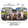 Custom Photo Best Friends Are Ones With Paws - Dog & Cat Personalized Custom Auto Windshield Sunshade, Car Window Protector - Gift For Pet Owners, Pet Lovers