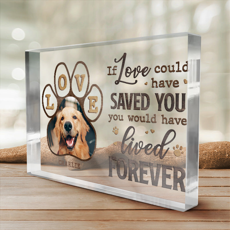 Custom Photo So Much Love Between Hello & Goodbye - Memorial Personalized Custom Rectangle Shaped Acrylic Plaque - Sympathy Gift, Gift For Pet Owners, Pet Lovers