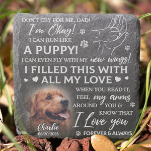 Custom Photo Don't Cry For Me, I'm Okay - Memorial Personalized Custom Square Shaped Memorial Stone - Sympathy Gift For Pet Owners, Pet Lovers