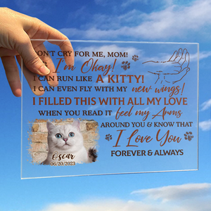 Custom Photo I Filled This With All My Love - Memorial Personalized Custom Rectangle Shaped Acrylic Plaque - Sympathy Gift For Pet Owners, Pet Lovers