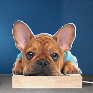 Photo personnalisée : La vie est meilleure avec un bébé en fourrure ! Lampe LED 3D personnalisée pour chien et chat. Téléchargez une photo pour un cadeau pour les propriétaires et les amoureux des animaux.