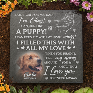 Custom Photo Don't Cry For Me, I'm Okay - Memorial Personalized Custom Square Shaped Memorial Stone - Sympathy Gift For Pet Owners, Pet Lovers