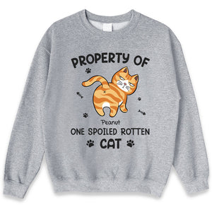 Spoiled Rotten Cats - Cat Personalized Custom Unisex T-shirt, Hoodie, Sweatshirt - Gift For Pet Owners, Pet Lovers