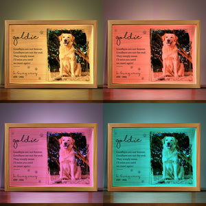 Custom Photo You Would Have Lived Forever - Memorial Personalized Custom Frame Light Box - Sympathy Gift For Pet Owners, Pet Lovers