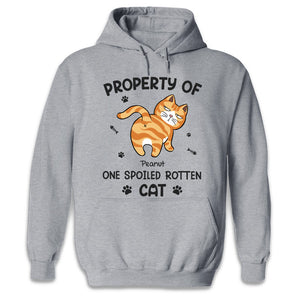 Spoiled Rotten Cats - Cat Personalized Custom Unisex T-shirt, Hoodie, Sweatshirt - Gift For Pet Owners, Pet Lovers