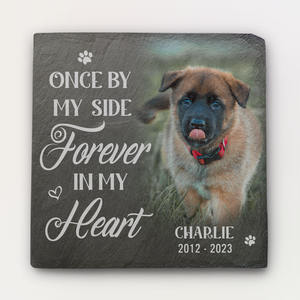 Custom Photo We'll Miss You For The Rest Of Ours - Memorial Personalized Custom Memorial Stone - Sympathy Gift For Pet Owners, Pet Lovers