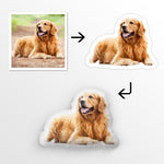 Custom Pet Photo Gifts for Dog and Cat Lovers - Personalized Shaped Pillow