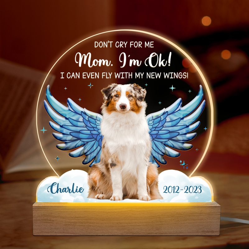 Custom Photo I Can Even Fly With My New Wings - Memorial Personalized Custom Shaped 3D LED Light - Sympathy Gift For Pet Owners, Pet Lovers