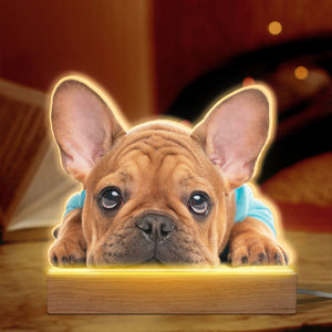 Photo personnalisée : La vie est meilleure avec un bébé en fourrure ! Lampe LED 3D personnalisée pour chien et chat. Téléchargez une photo pour un cadeau pour les propriétaires et les amoureux des animaux.