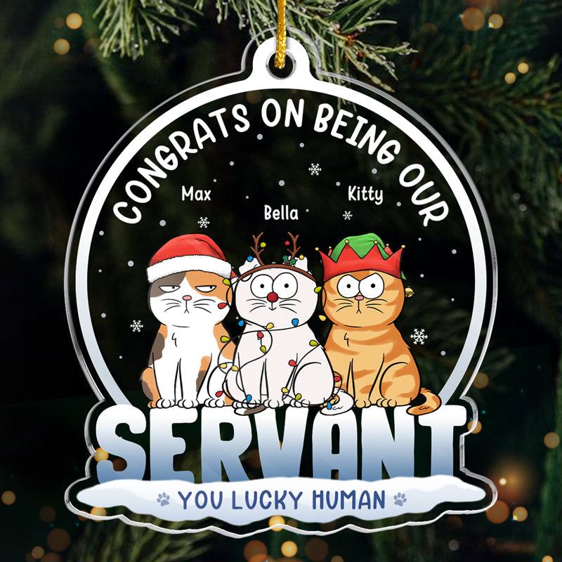You Lucky Human - Dog & Cat Personalized Custom Ornament - Acrylic Custom Shaped - Christmas Gift For Pet Owners, Pet Lovers